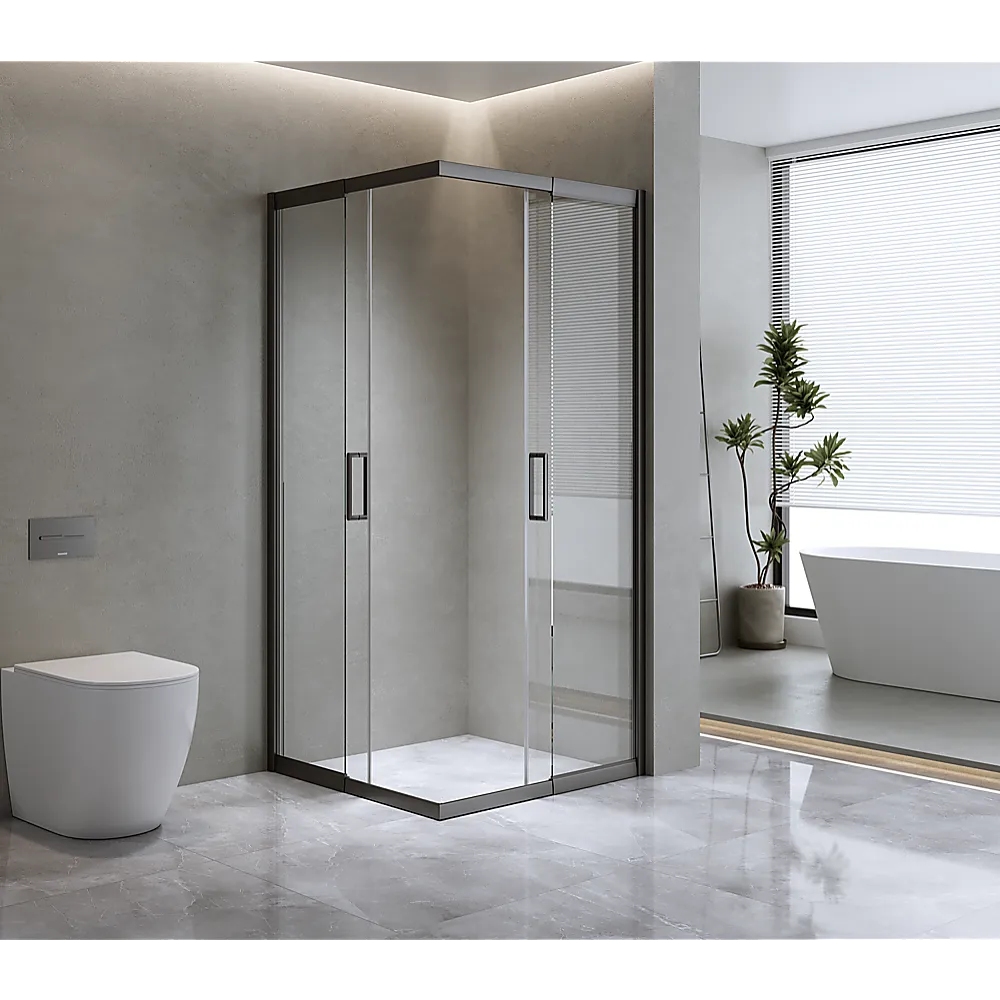 1200x1200mm Double Sliding Door Glass Shower Screen, Black, 6mm Safety Glass, Reversible - Della Francesca