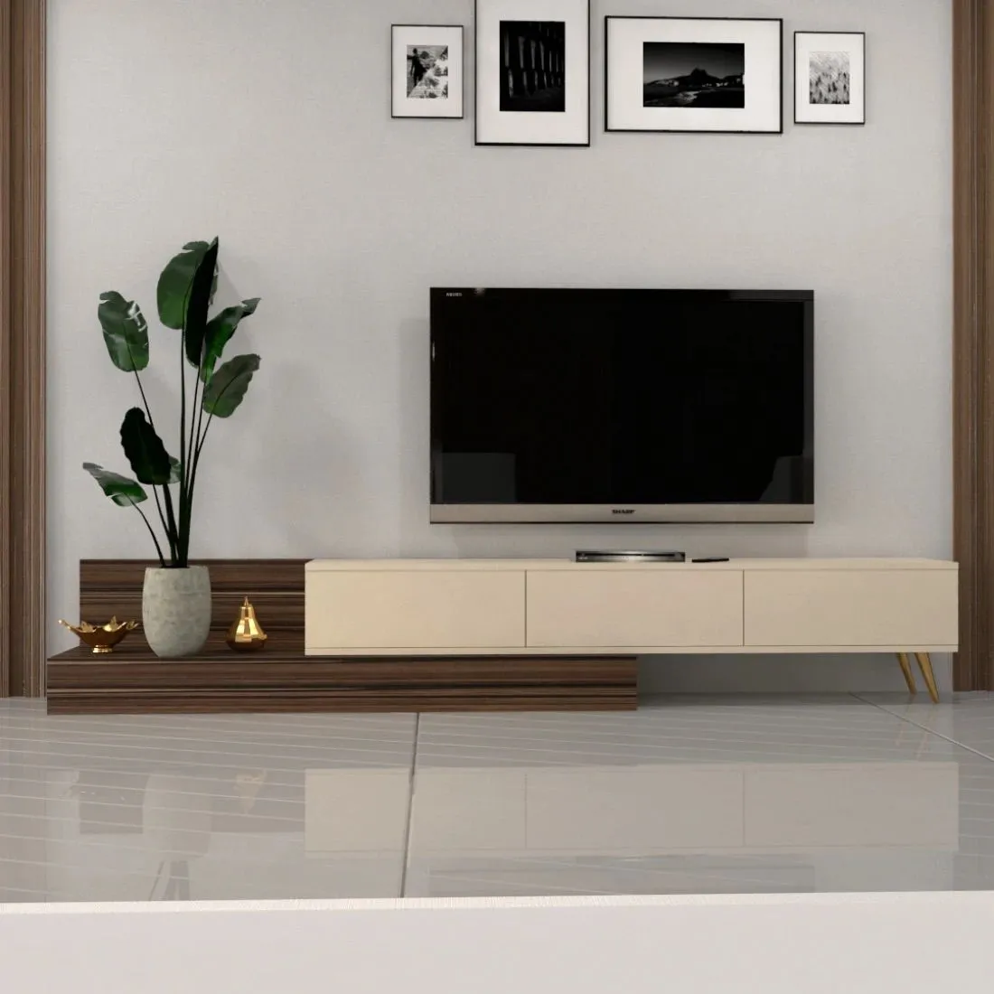 Adjustable Modern TV Cabinet with Spacious Storage