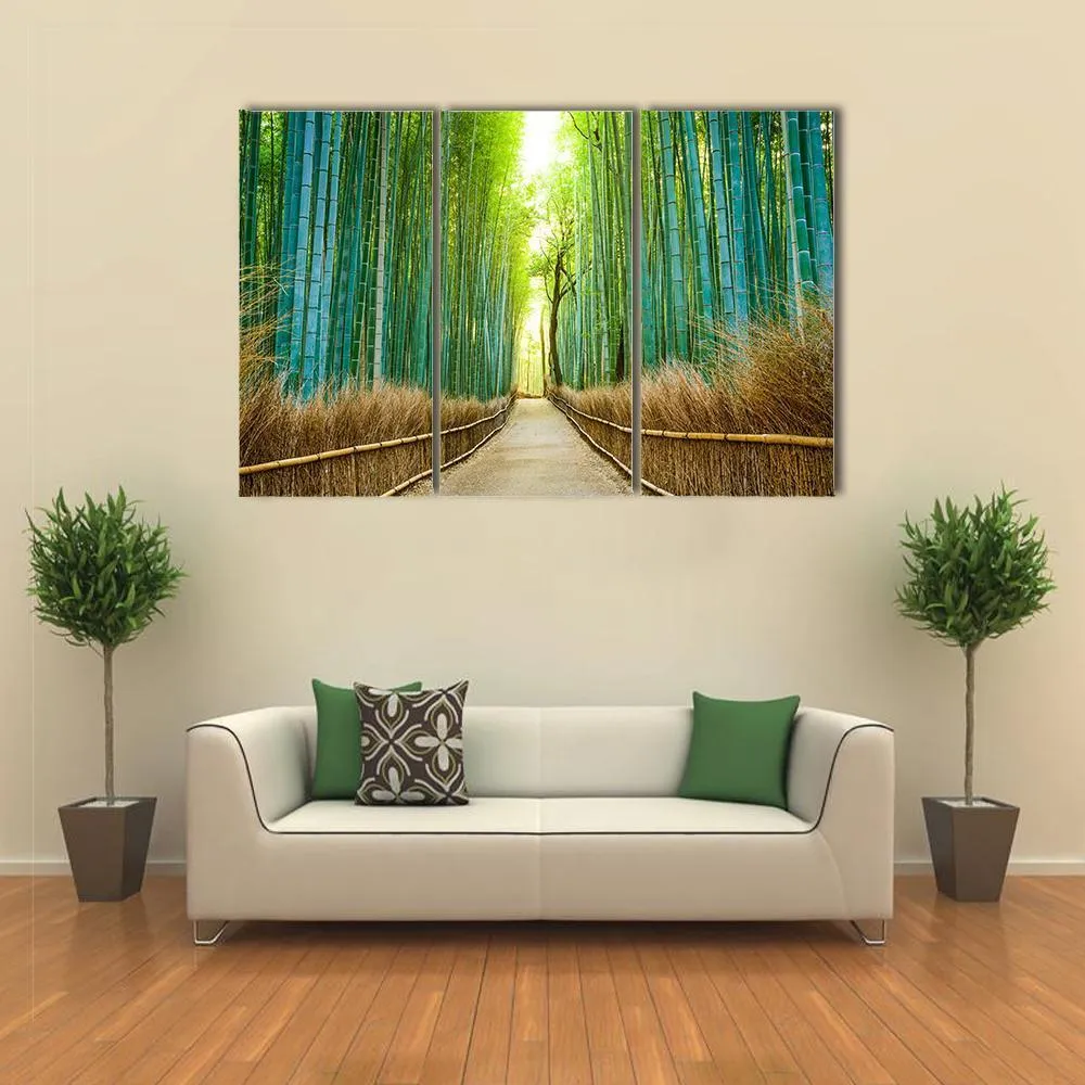 Bamboo Forest In Kyoto Canvas Wall Art