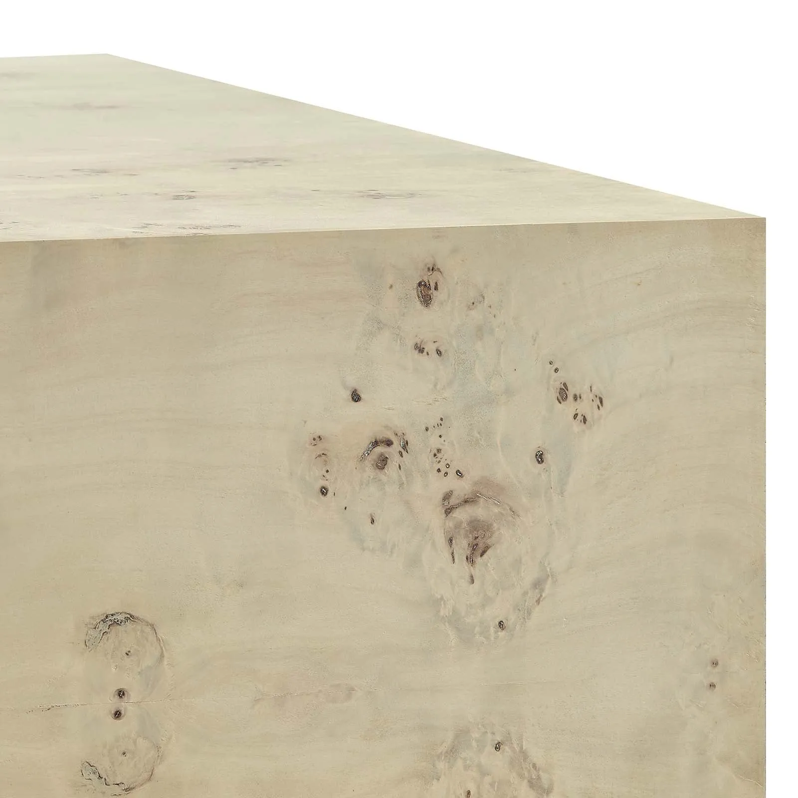 Cosmos 36" Square Burl Wood Coffee Table By Modway - EEI-6272