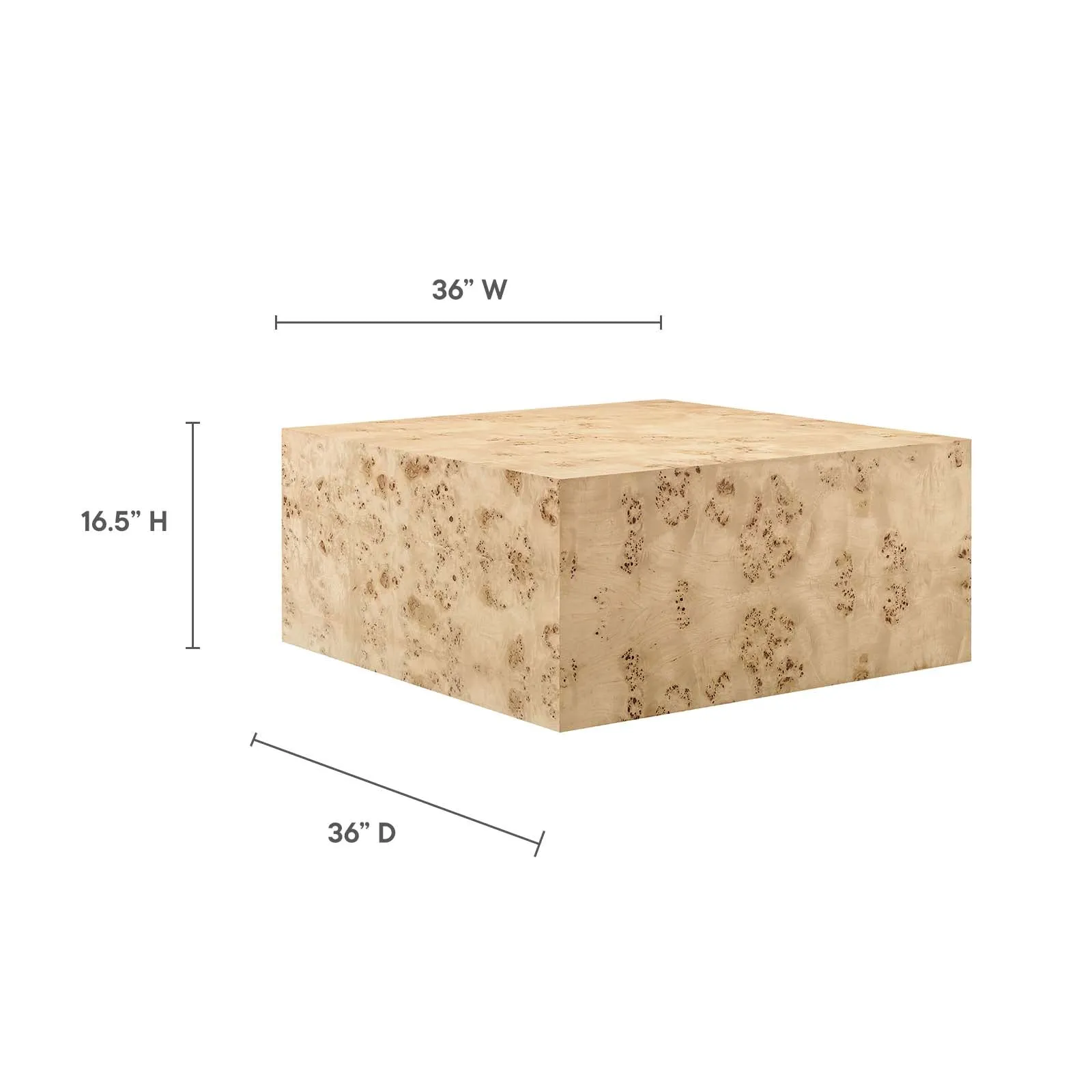Cosmos 36" Square Burl Wood Coffee Table By Modway - EEI-6272