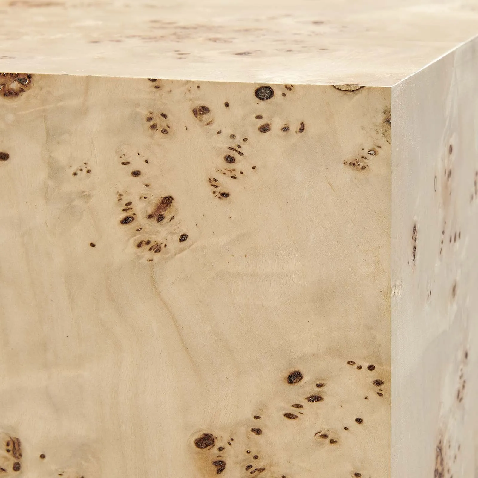 Cosmos 36" Square Burl Wood Coffee Table By Modway - EEI-6272