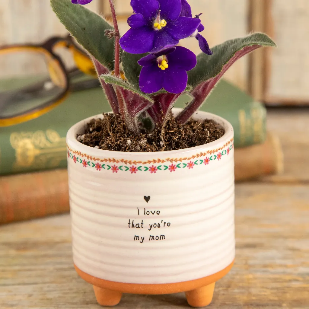I Love That You're My Mom Small Artisan Planter