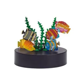Magnetic Sculpture - Colourful Fish