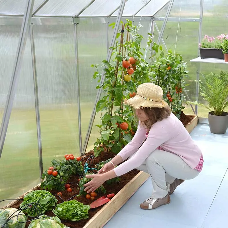 Palram Canopia Essence Greenhouse