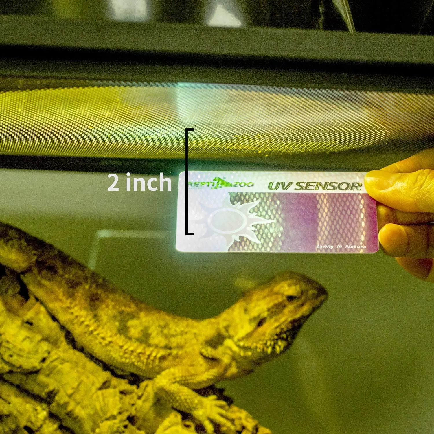 Reptizoo UV Sensor Tester Card