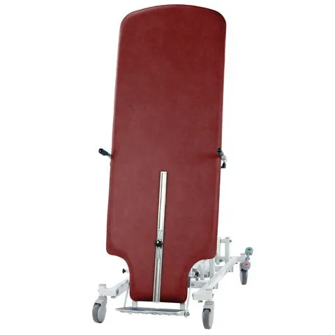 Seers Tilt Table Pro with Emergency Override
