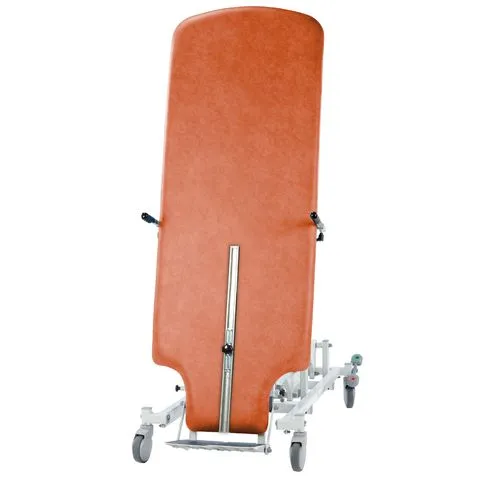 Seers Tilt Table Pro with Emergency Override