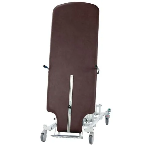 Seers Tilt Table Pro with Emergency Override