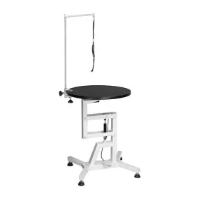 Table Air, Z9